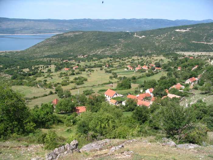 Koravlica