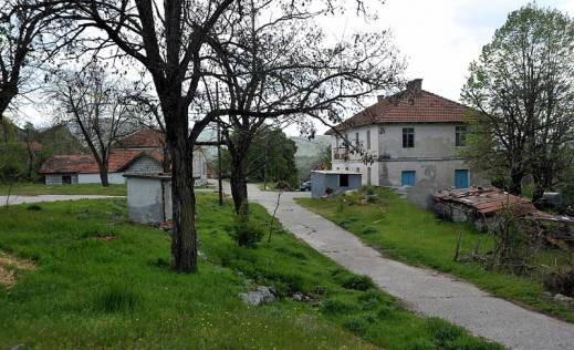 Petrovici