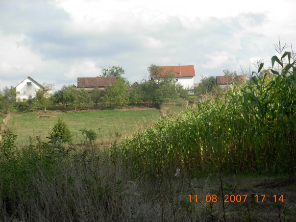 Selo Papici na Baniji