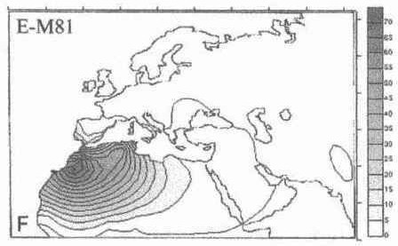 YAP-E-Haplogroup-Origins-Simon-Hoyte-M123