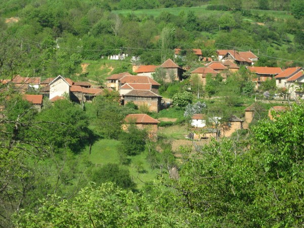 Crna Bara, selo