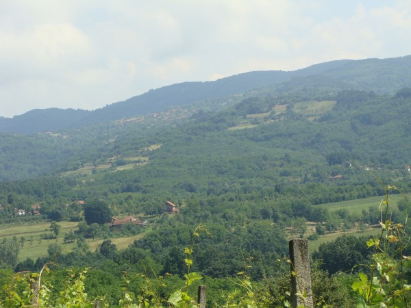 Crnatovo, selo