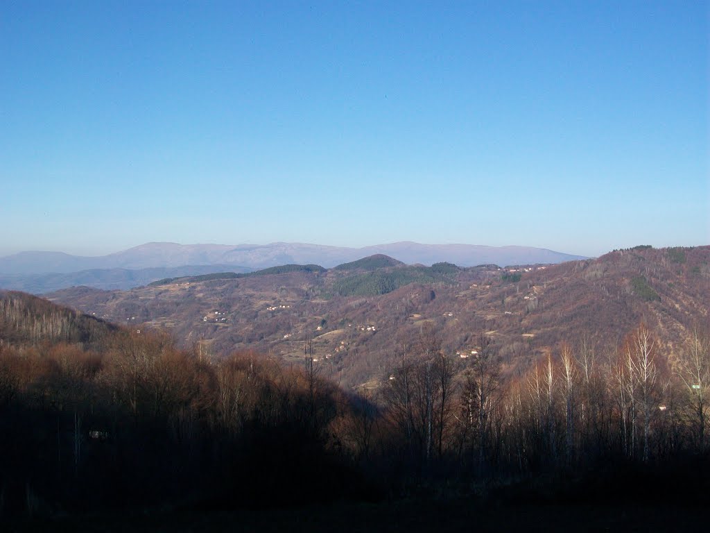 Gornja Lopusnja