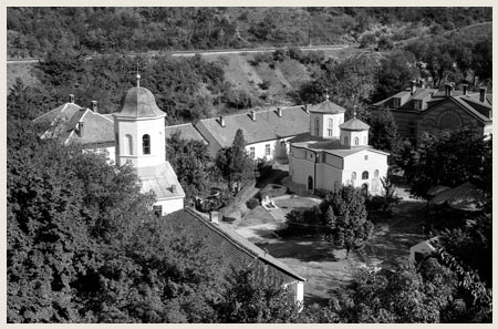 манастир Раковица