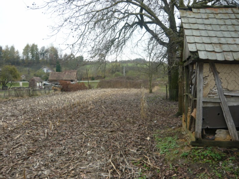 Medjedja
