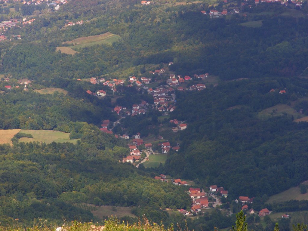 Trbusnica