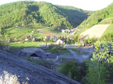 Zajača