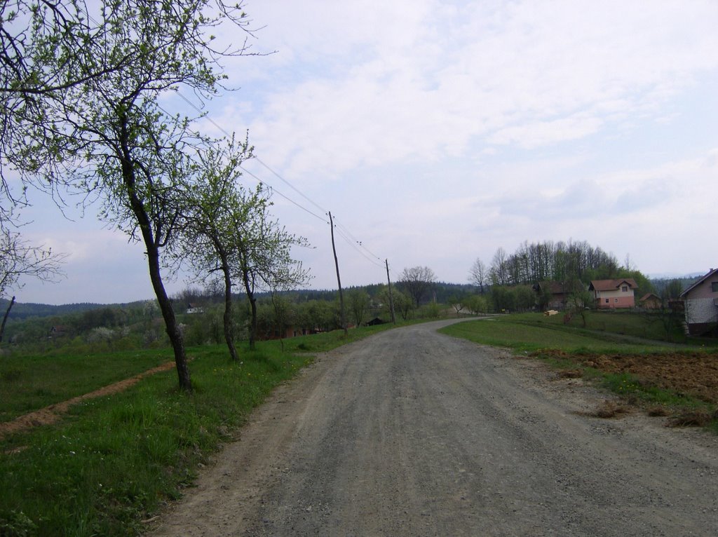 Ladjevci