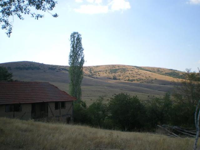 Donji Svracak