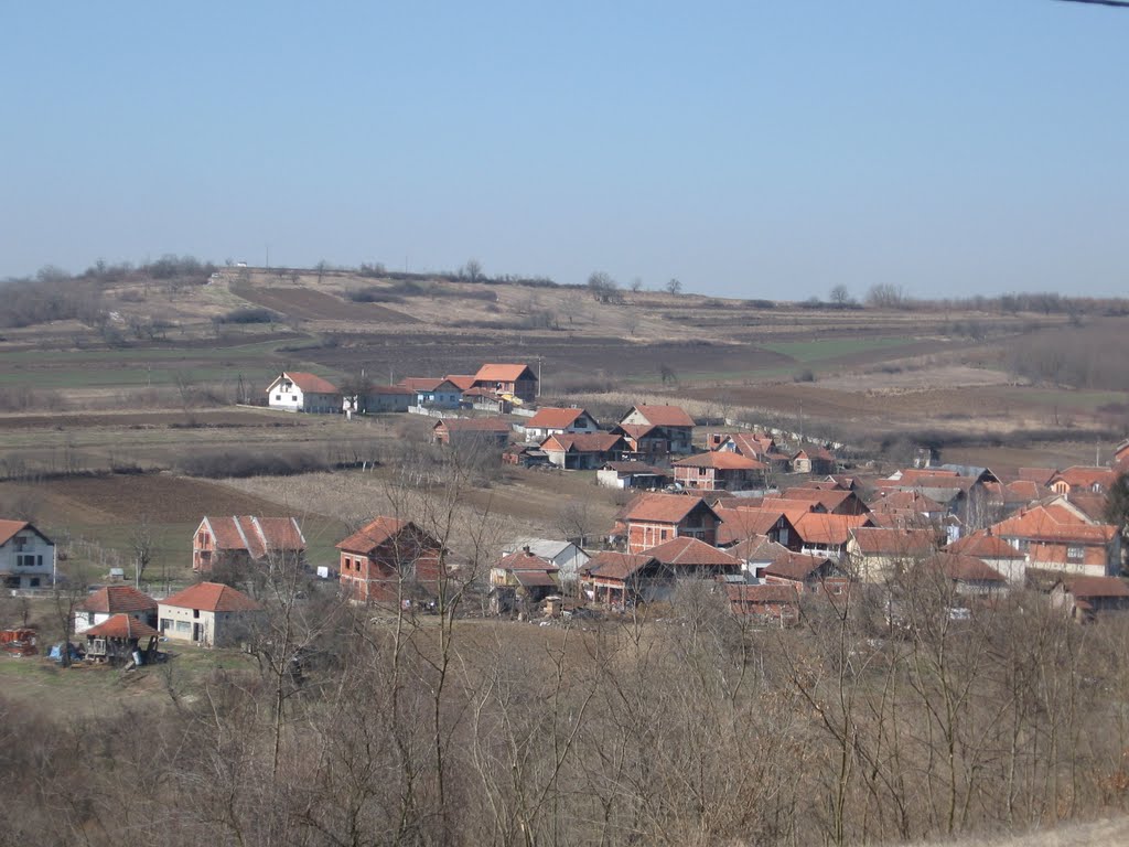 Velika Krusevica