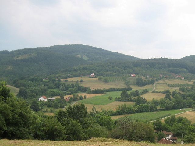 Drenova