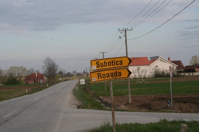 Subotica (Svilajnac)