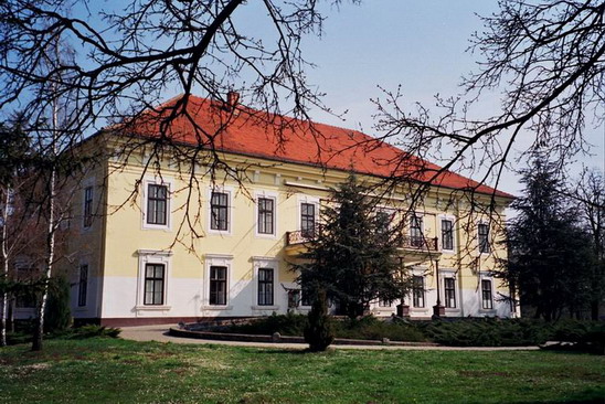 Čelarevo, dvorac