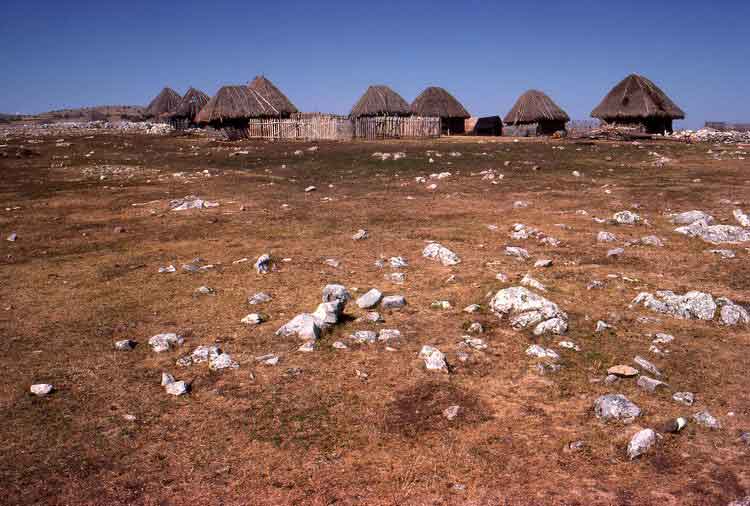 Tuzinje