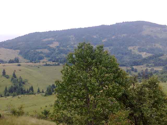 Rasno