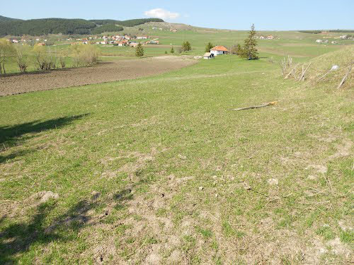 Veskoviće
