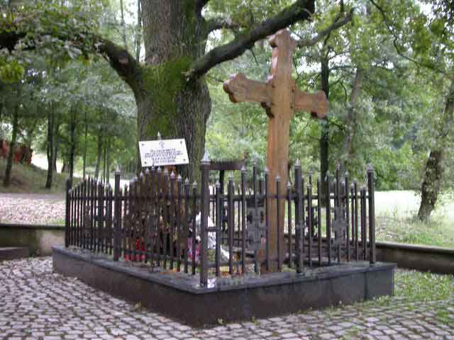 Првобитно место где је сахрањен Карађорђе, Радовањски луг