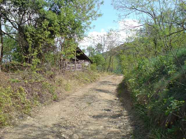 Zamčanje