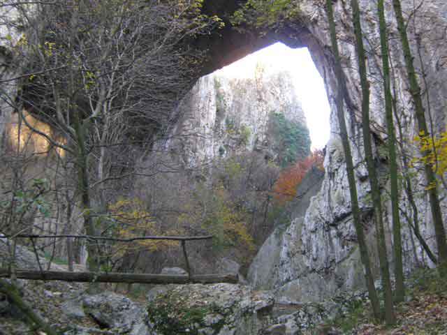 Vratna
