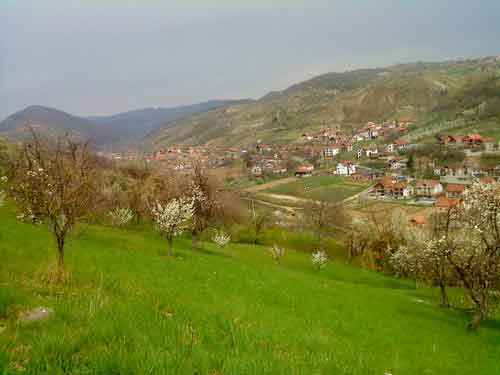 Puhovac