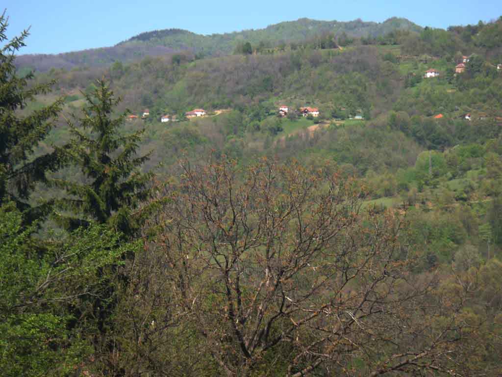 Ličin-Dol