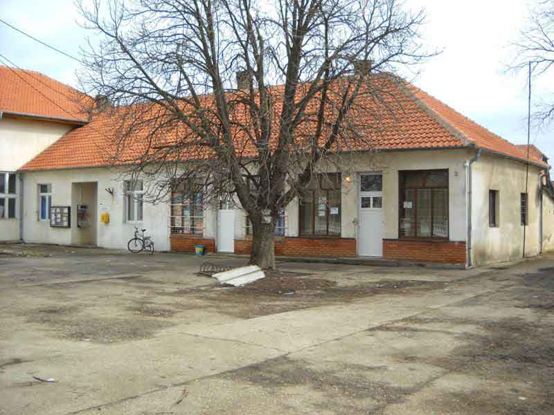 Živica