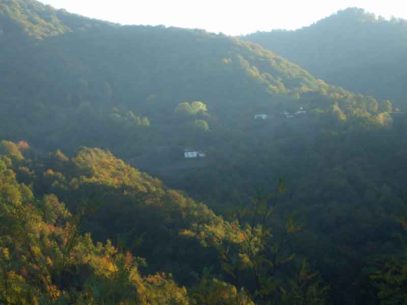 Roždace