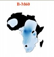 Haplogroup B, mapa rasprostranjenosti