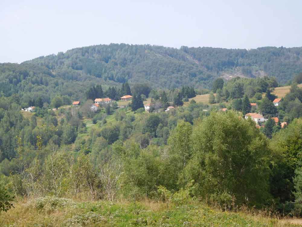 Bistrica