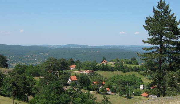 Branesci