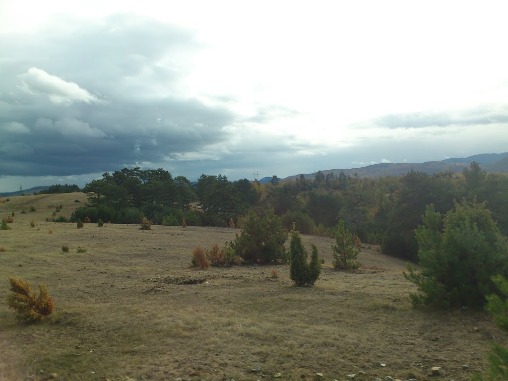 Buradja