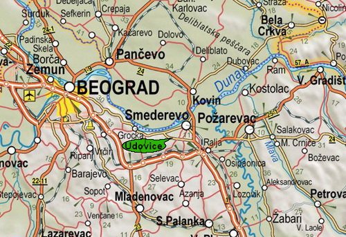 Udovice