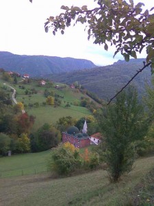 Oraše