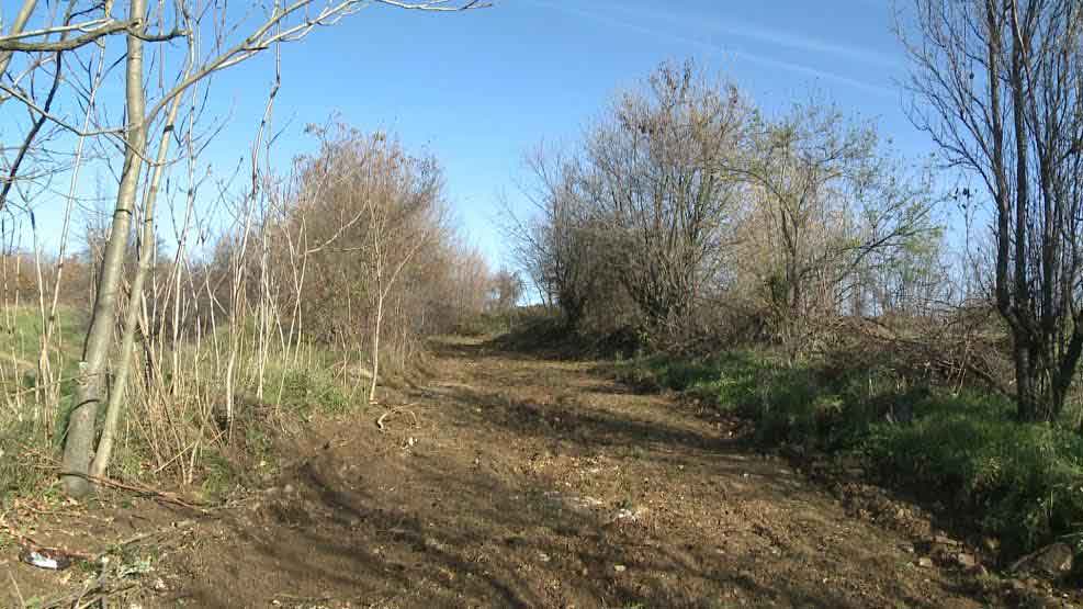 Halovo