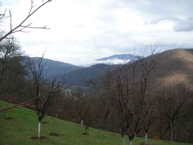 Balinovce