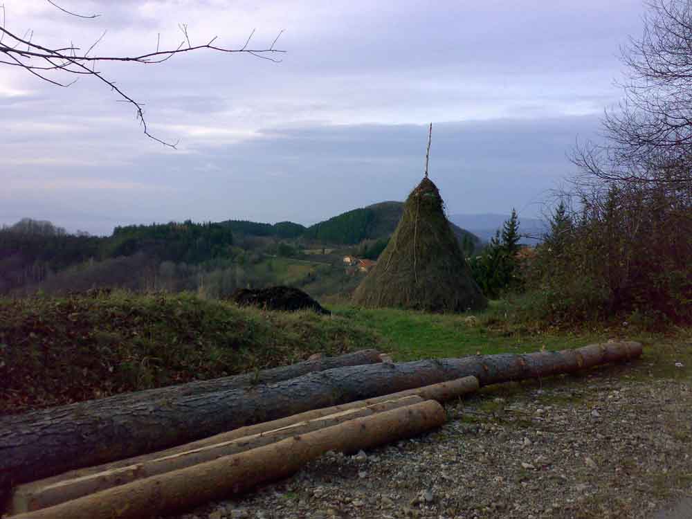 Donja-Lopušnja