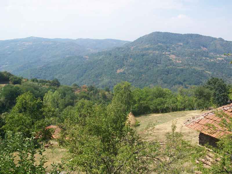 Suševlje