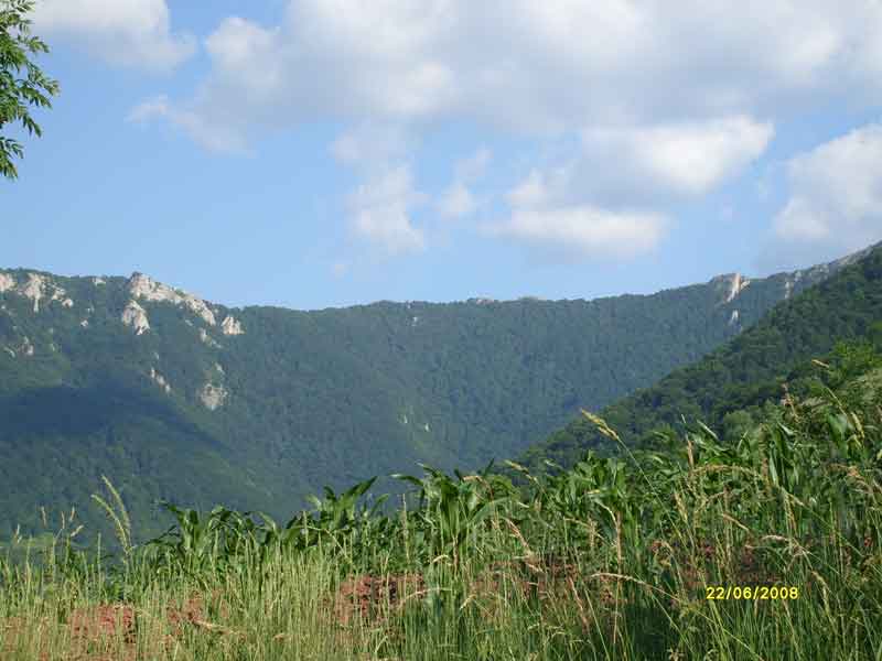 Kosmovac