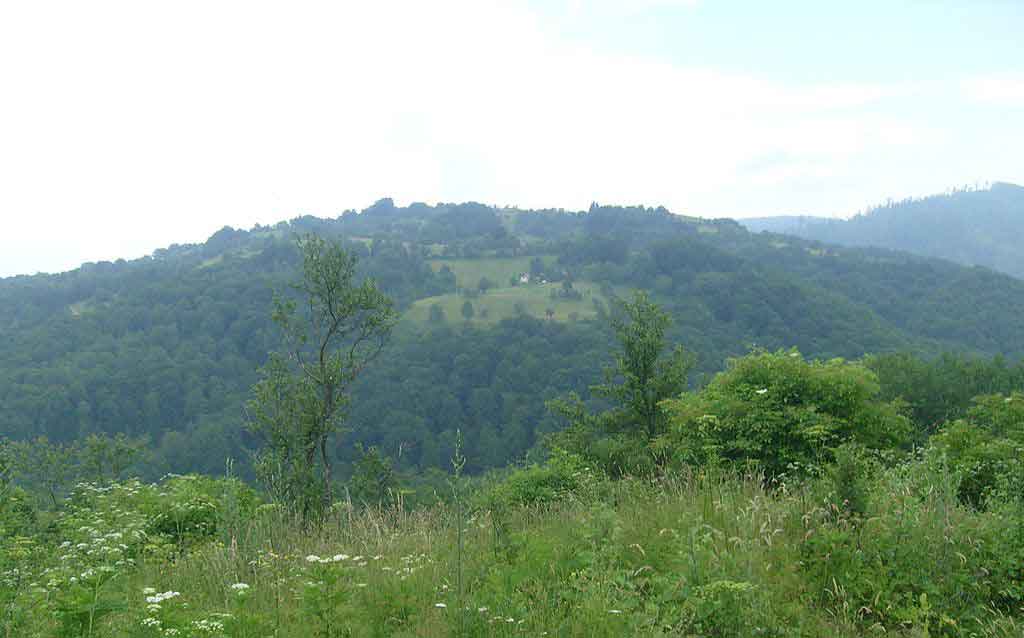 Trstena