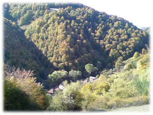 Доња Ржана Фото: www.bosilegrad.org