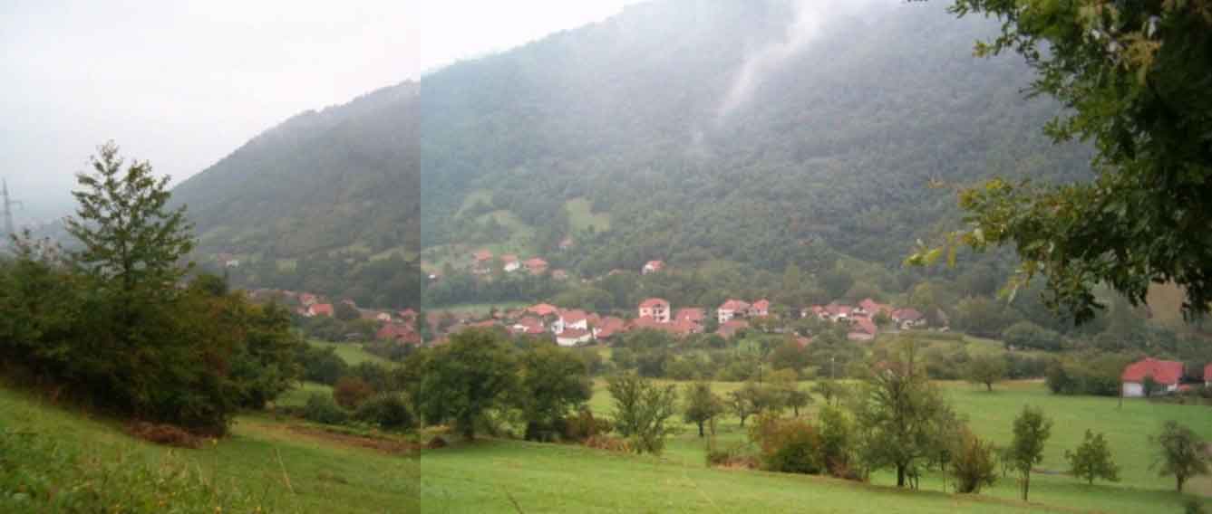 Ćurkovica